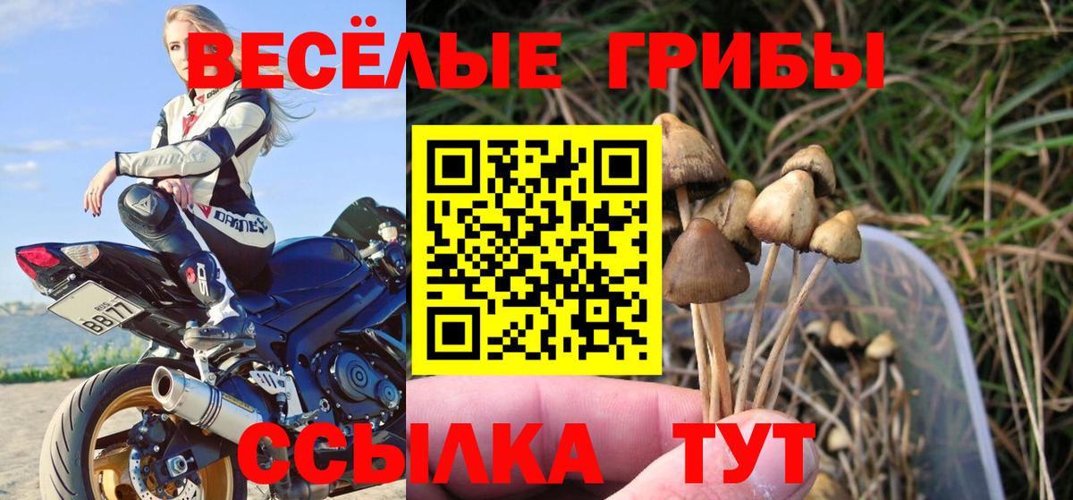Псилоцибиновые грибы MAGIC MUSHROOMS Назрань