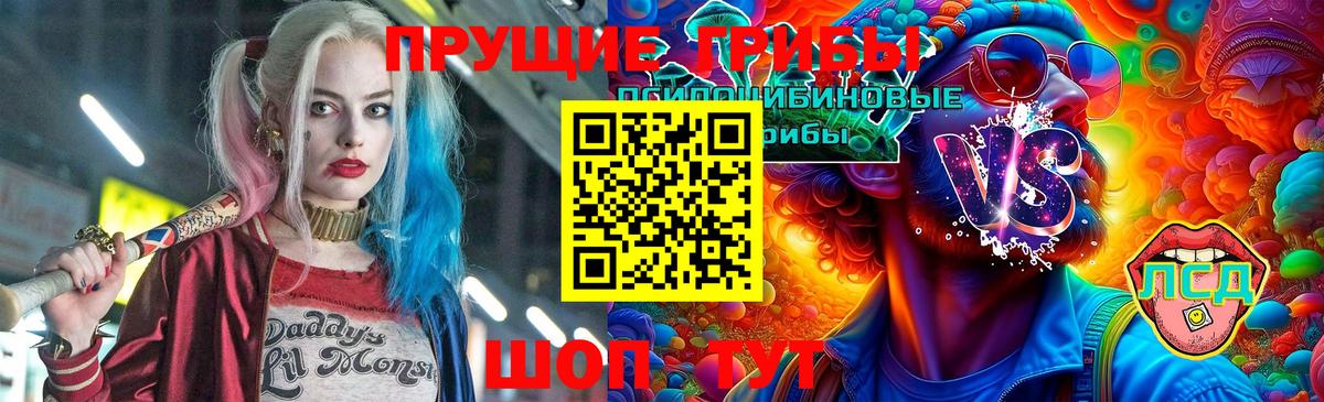 Псилоцибиновые грибы мицелий  Вход с VPN  хочу   Назрань 
